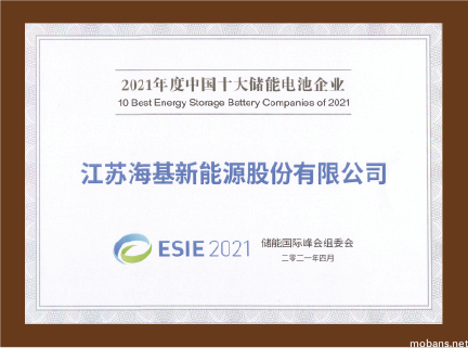 2021年中国十大储能电池企业